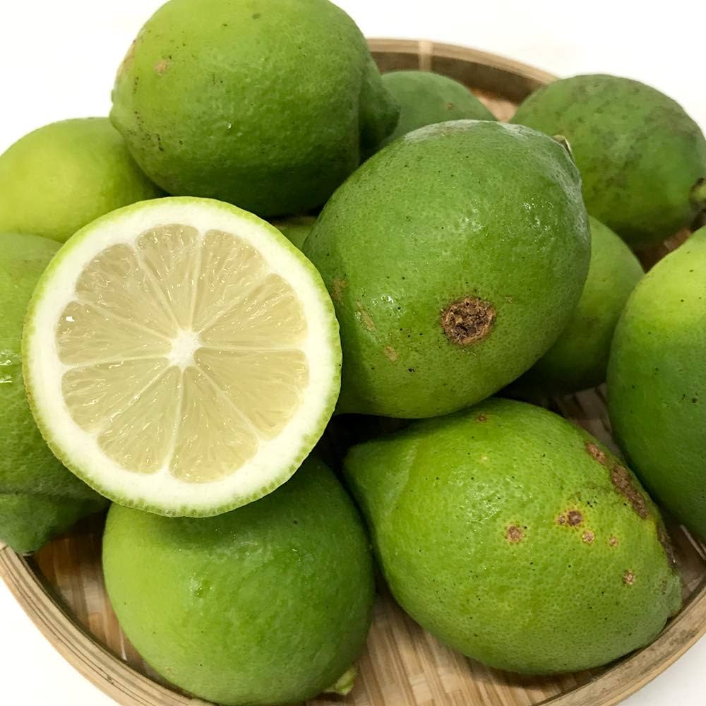 Amazon.co.jp: [Leather: Yellow] Shizuoka Lemon with a