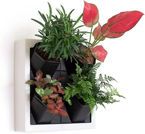 Self Watering Wall Planter with 4 Pots - Easy to