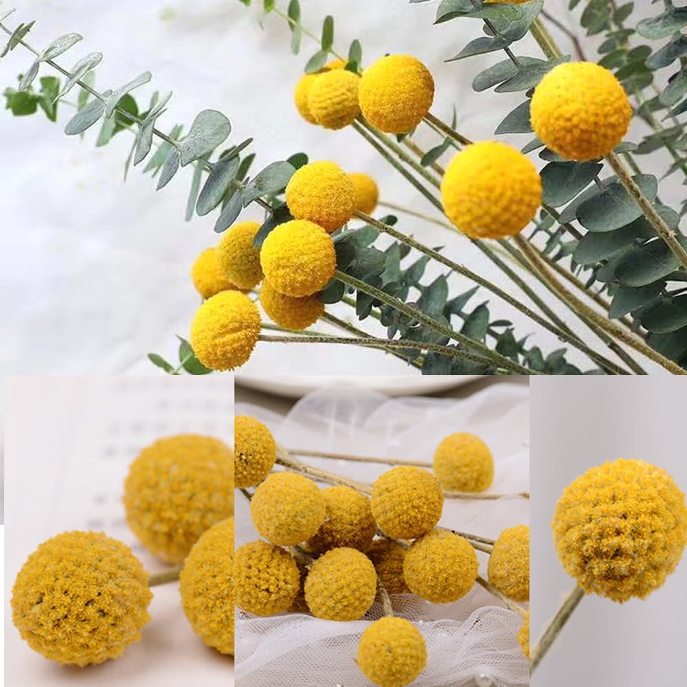 Billy - 50 palline con fiori secchi gialli, per composizioni floreali fai da te, matrimoni, casa, vaso alto