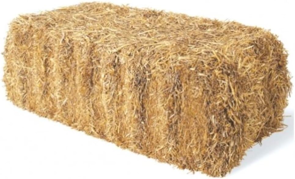 Organic Wheat Straw Bale 100 Natural Wheat Straw Ideal