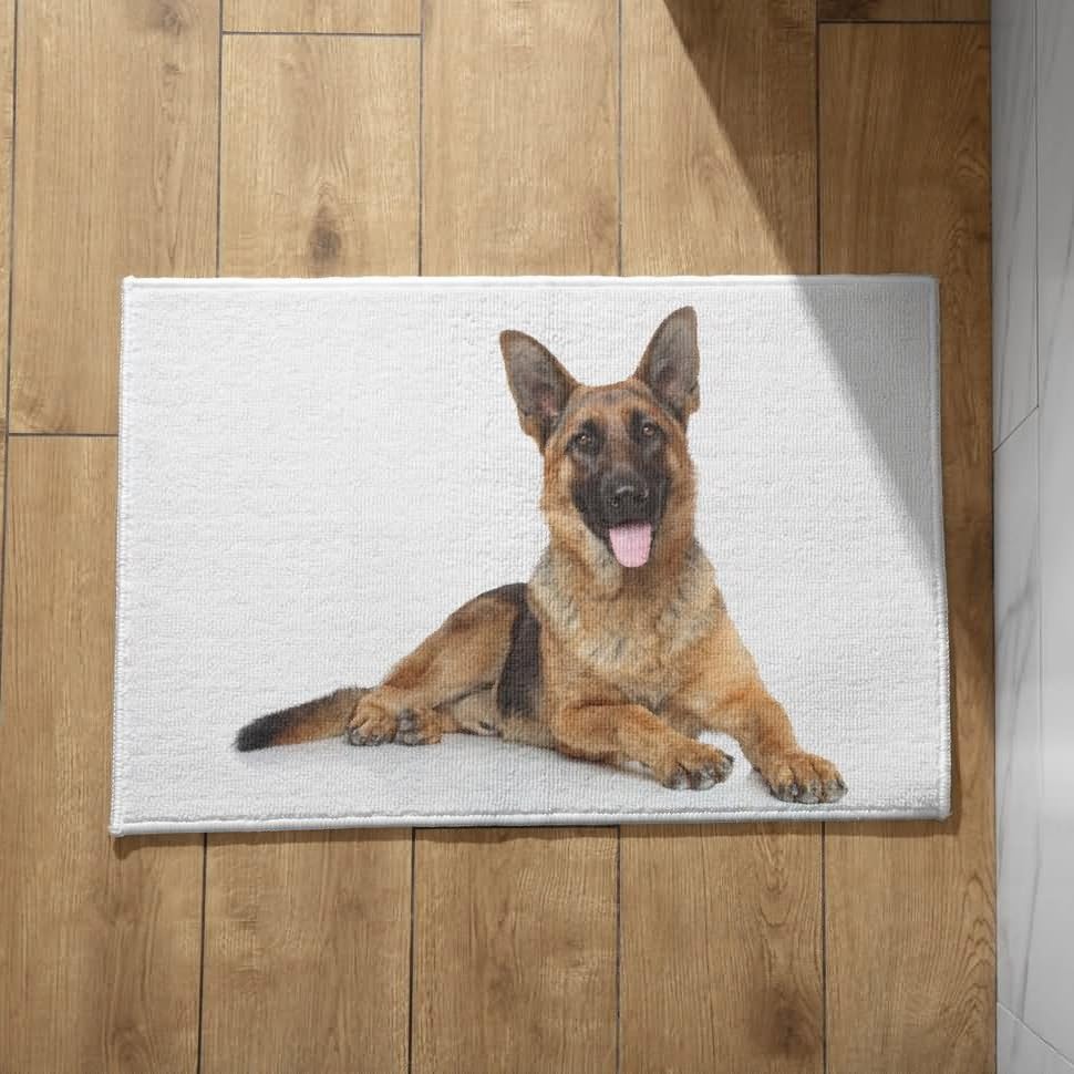 Isdreem Alfombra Interior Grande Felpudos Exteriores Grandes Perro Alfombra Antideslizante Cocina Industrial Felpudo para Baño Alfombrillas Decorativas Antideslizantes, 50x80cm