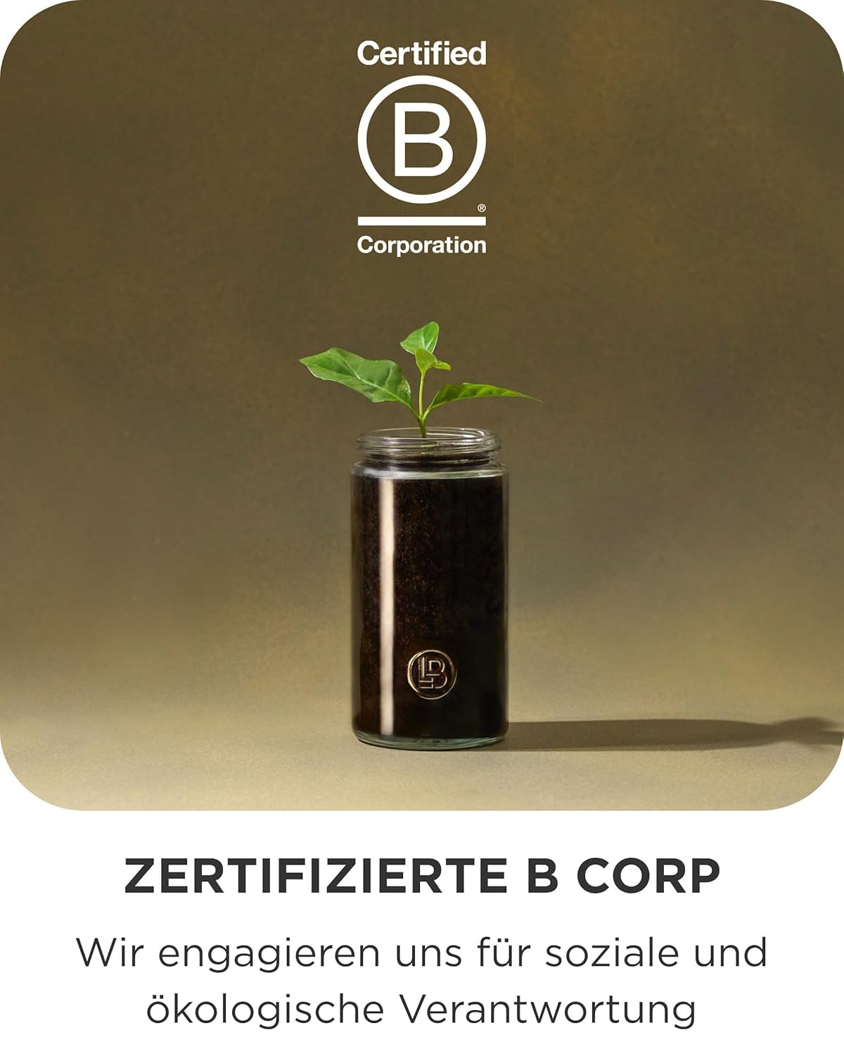 LAKRIDS BY BÜLOW - SELECTION BOX - Feinste Lakritze umhüllt von cremiger Schokolade