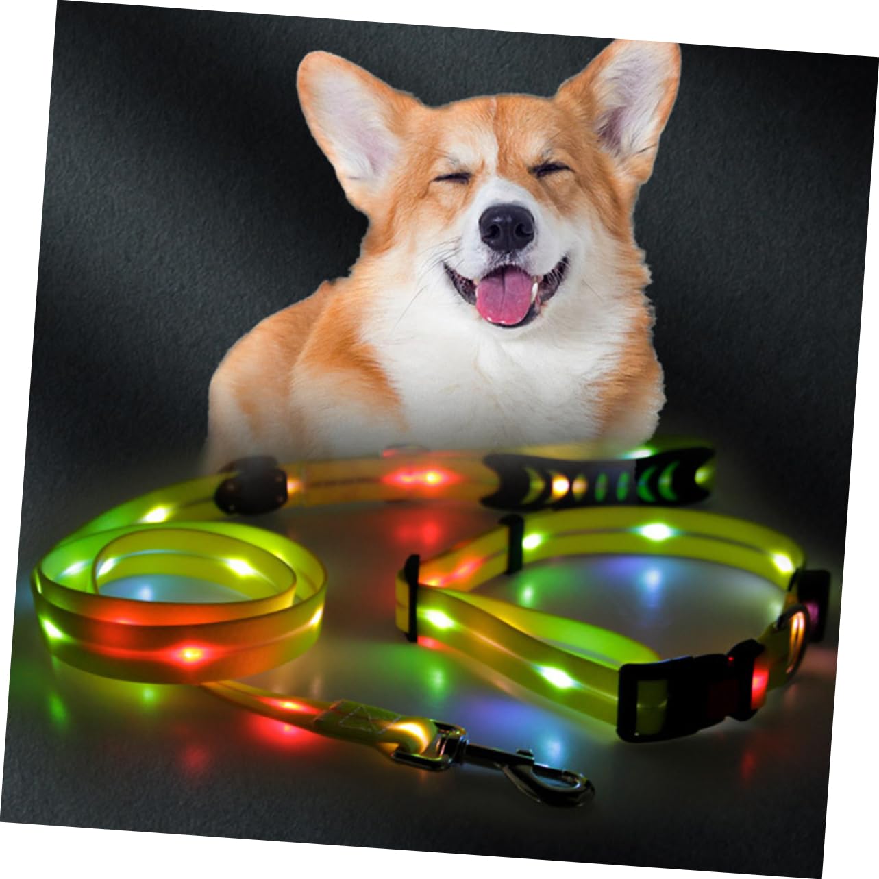 Kisangel 1juego Correa Luminosa para Perros Cinta De Tiro para Mascotas para Paseos Nocturnos De Collar Correa