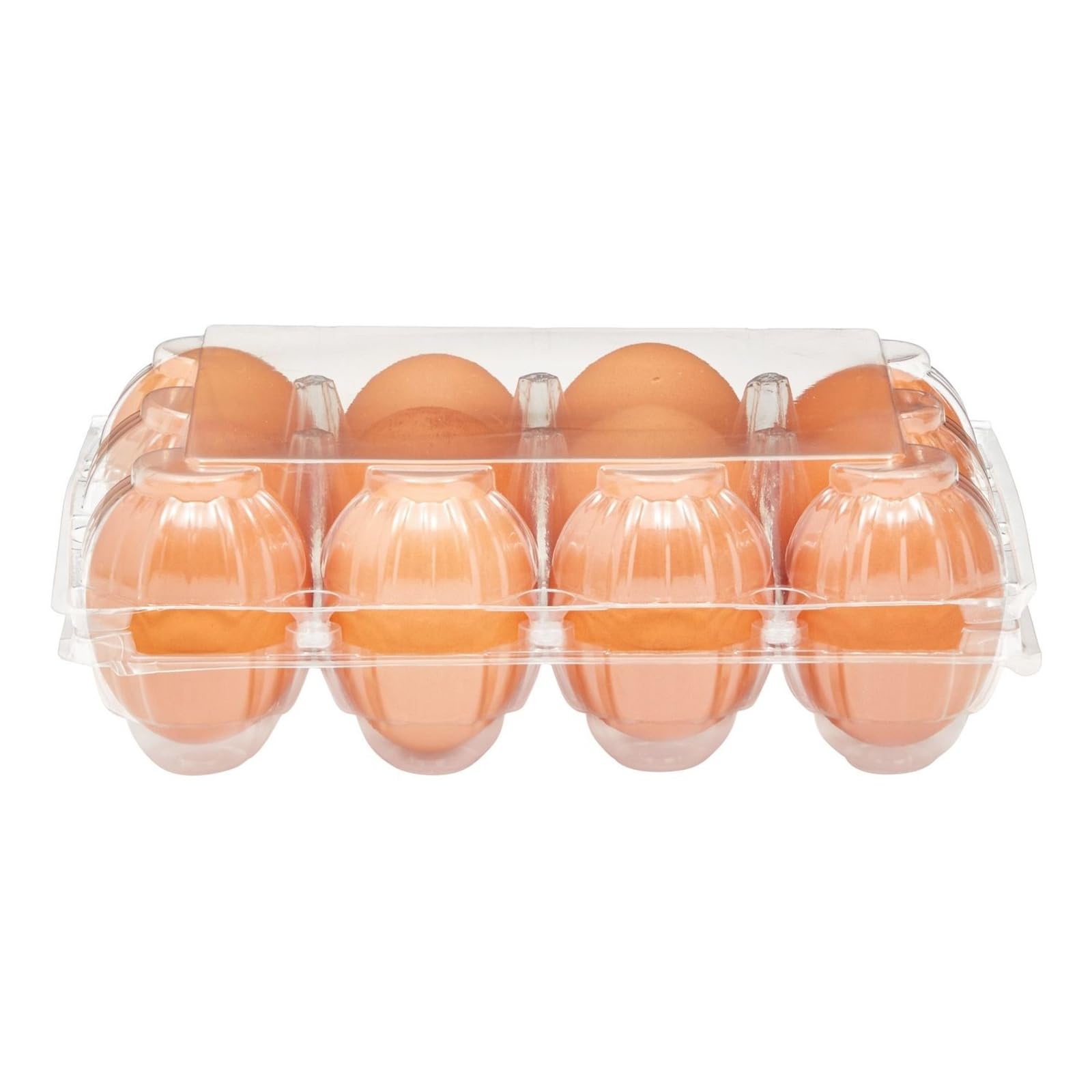Confezione da 48 cartoni per uova di gallina per 1 dozzina di uova di gallina, contenitori trasparenti riutilizzabili