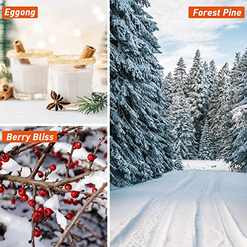 Fragrance Oil, Esslux Holiday Set Of Scented Oils, Soap & Candle Making Scents, Christmas Essential Oils Gift Set For Home Diffuser, Apple Cider, Forest Pine, Eggnog, Berry Bliss And More #TOP1