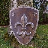 Zoom IMG-2 aubaho scudo di ferro del