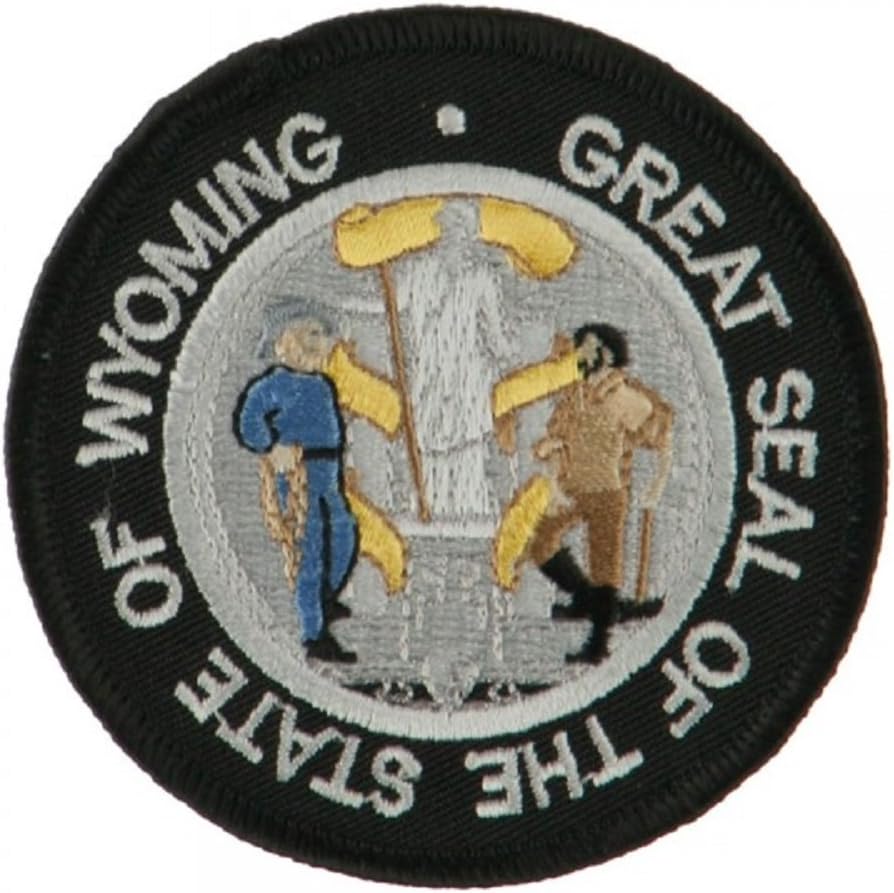 Texas State Seal Patch Round 3" Diameter, Embroidered Iron On or Sew On Seal Patch Flag Emblem