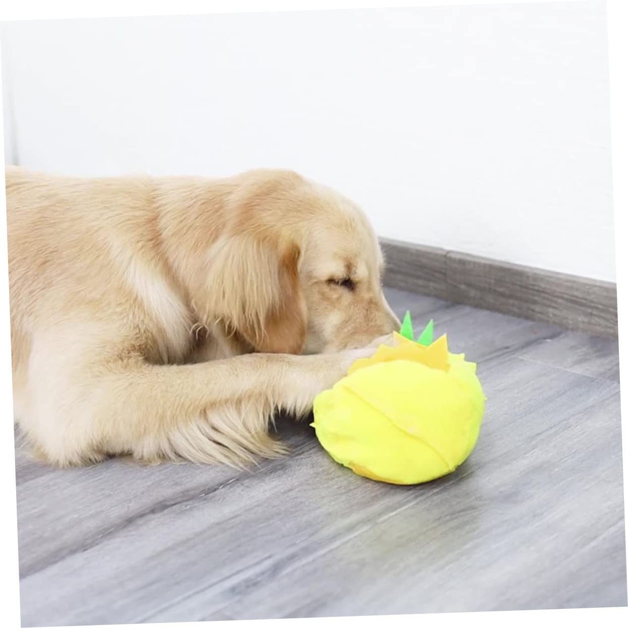 Milisten Jouets pour Chiens Jouets À Renifler Puzzle Jouet À Mâcher pour Animaux De Compagnie Idéal pour Lexercice Physique Mental