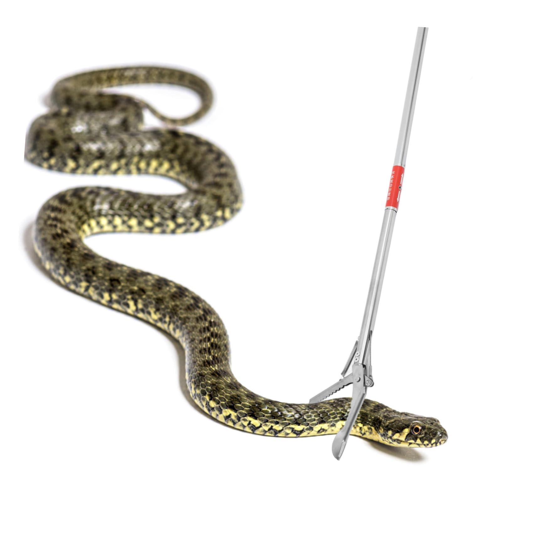 HANABASS Pince à Serpent et Longue Portée Légère en Acier Inoxydable Pliable pour Manipulation et Réglable 3 Sections en Extérieur