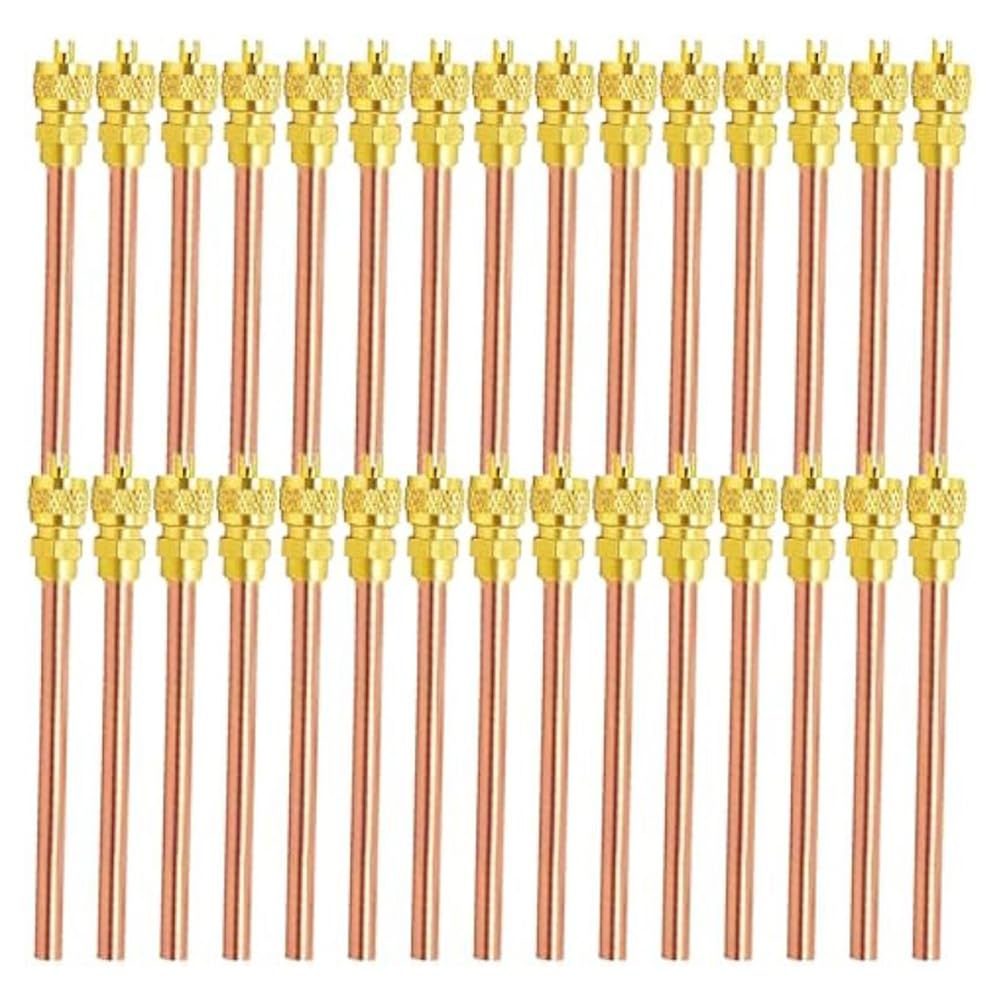 30Pcs Access Service Valve,Refrigerator Access Valves Kit, Stem Core AC Refrigeration Service Valve