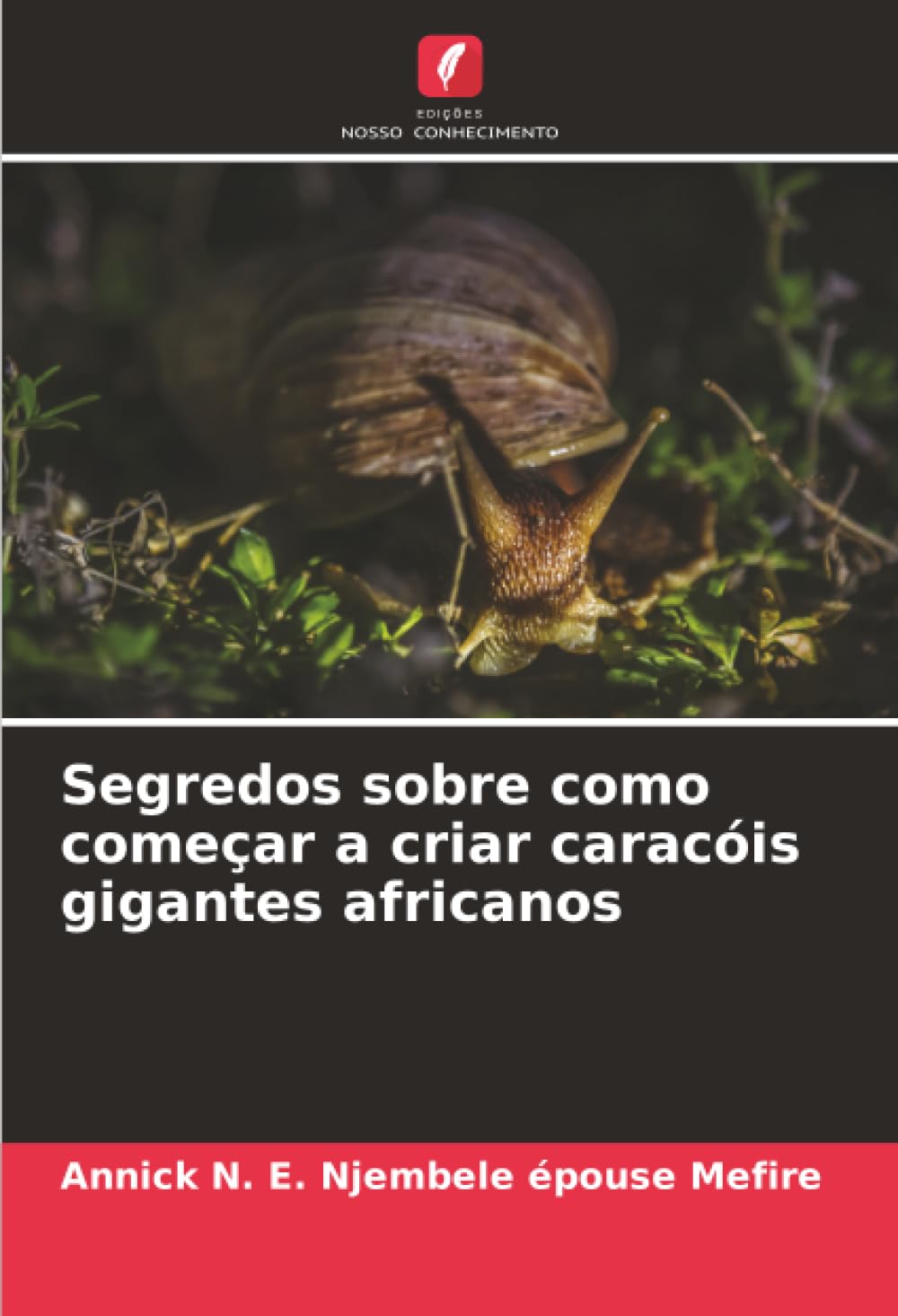 Segredos sobre como começar a criar caracóis gigantes africanos