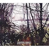 Cupboard Under The Stairs