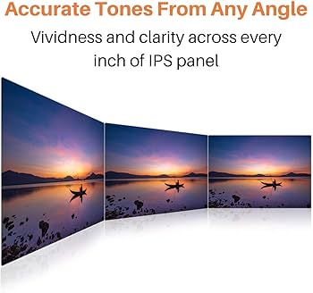 Amazon.co.jp: NexiGo 4Kポータブルモニター、15.6インチUHD IPS