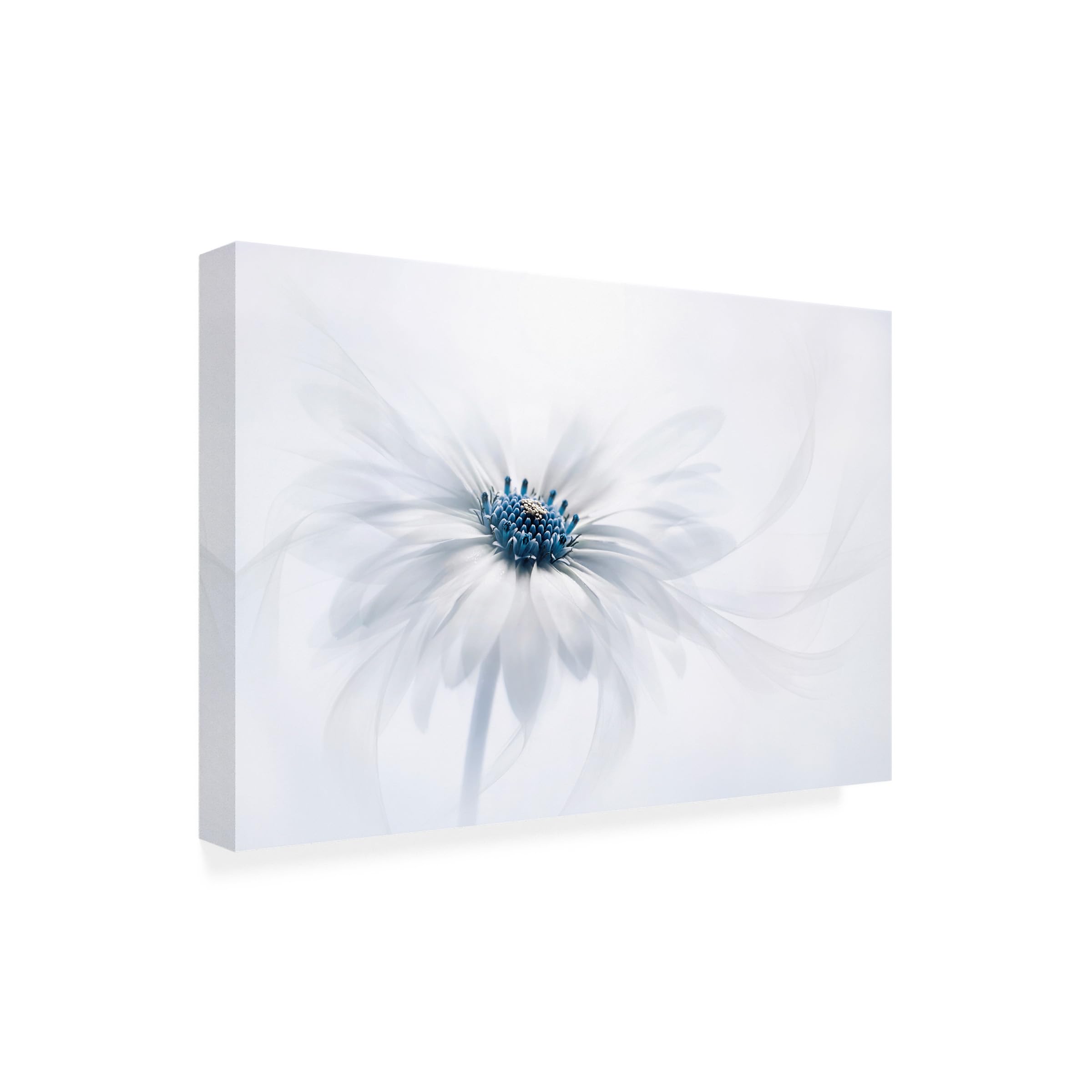 Serenity by Jacky Parker 30x47-Inch Canvas Wall Art