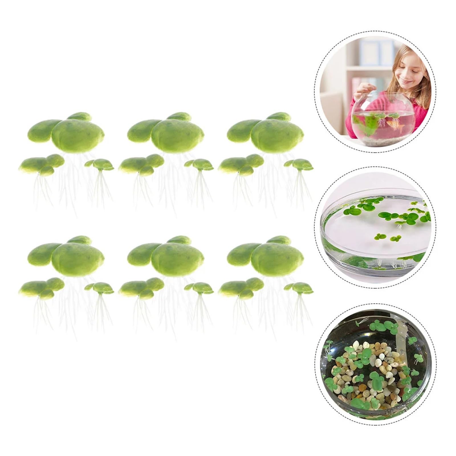 Lot De 72 Lentilles D'eau Artificielles – Plantes Flottantes Pour Aquarium Et étang – Déco En Plastique Réaliste – 3 Tailles