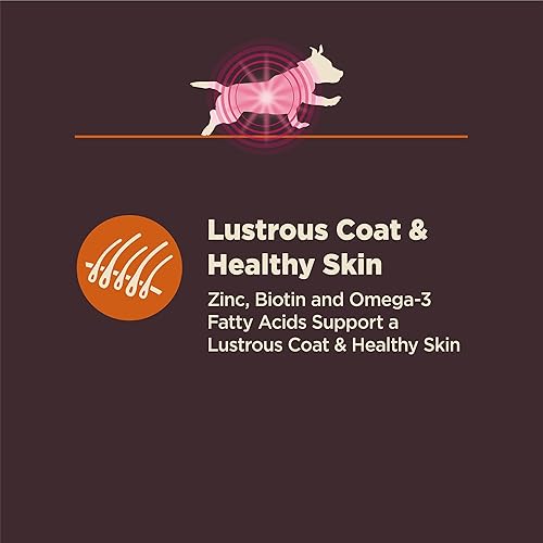 Miniatura 6 de Wellness CORE - Alimento seco para perros con granos saludables, altamente digerible, para perros con estómagos sensibles, fabricado en Estados