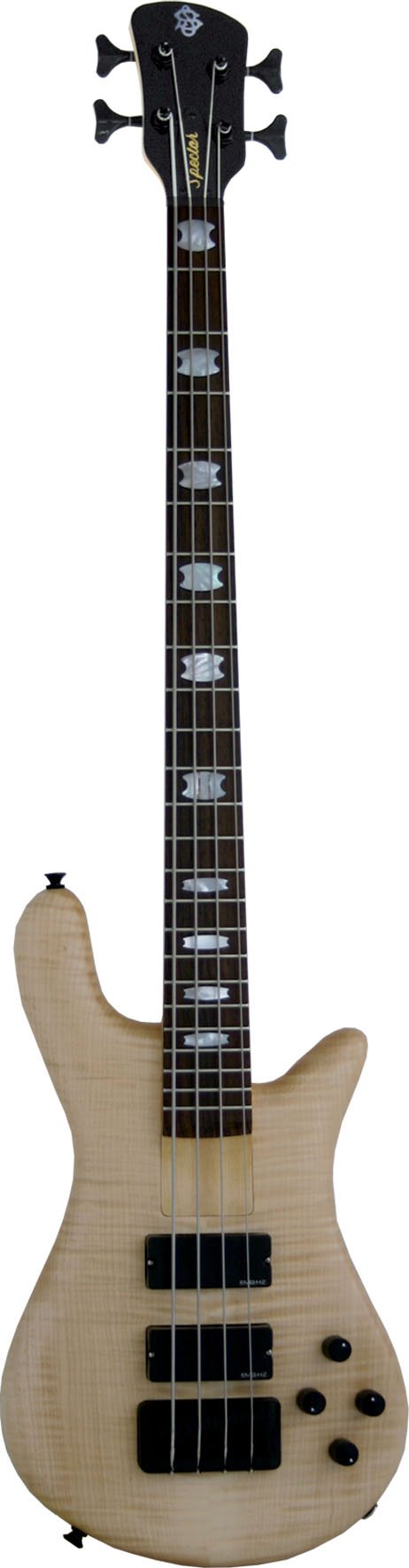 Spector ReBop 4 DLX FM Natural Stain Matt : Amazon.de: Books