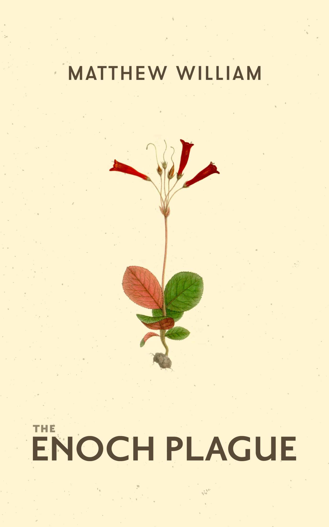 The Enoch Plague (The Enoch Saga Book 2)