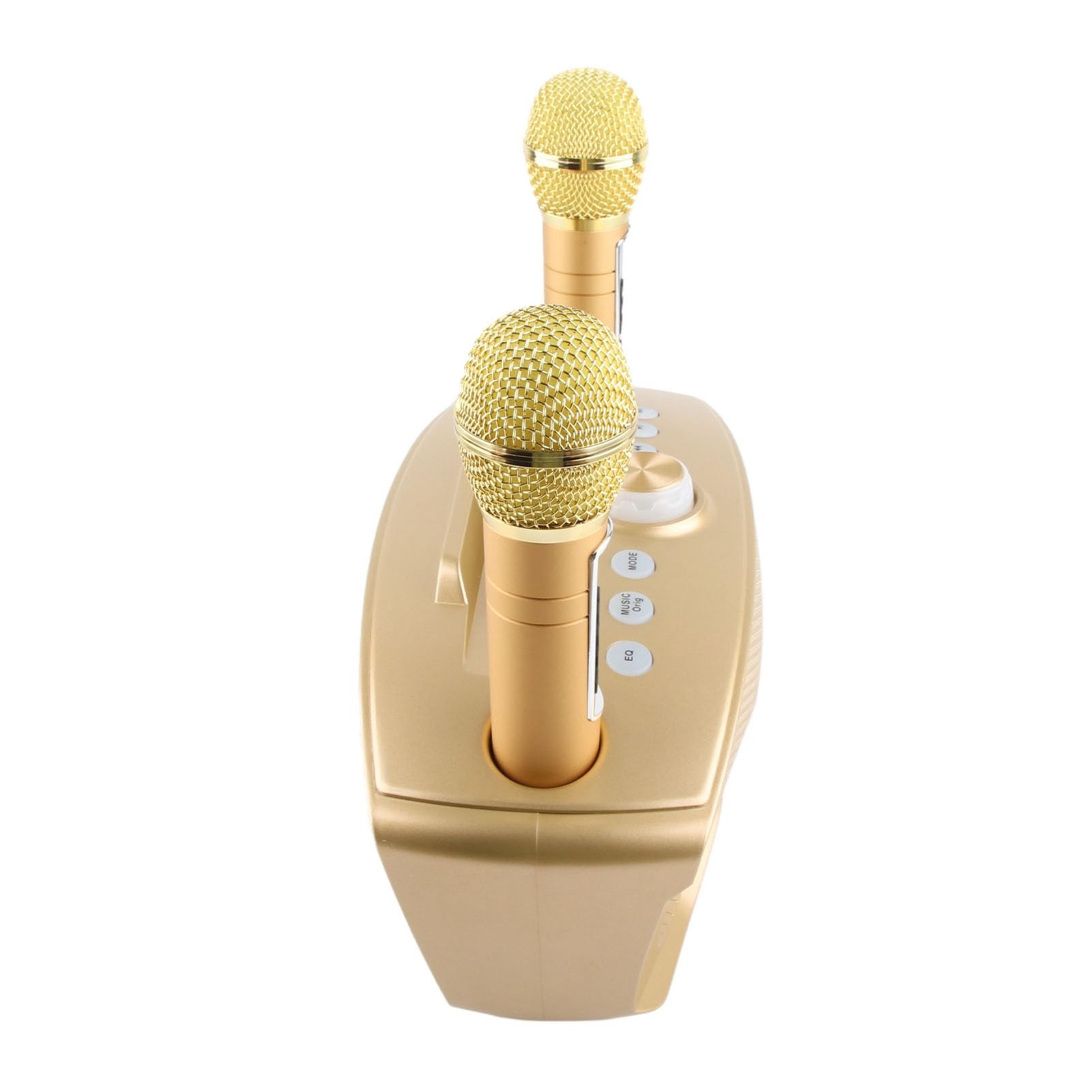 Semme Altoparlante per Karaoke Familiare con Doppio Microfono Portatile, Stereo Portatile da Esterno con Funzione di Annullamento Vocale (GOLD)