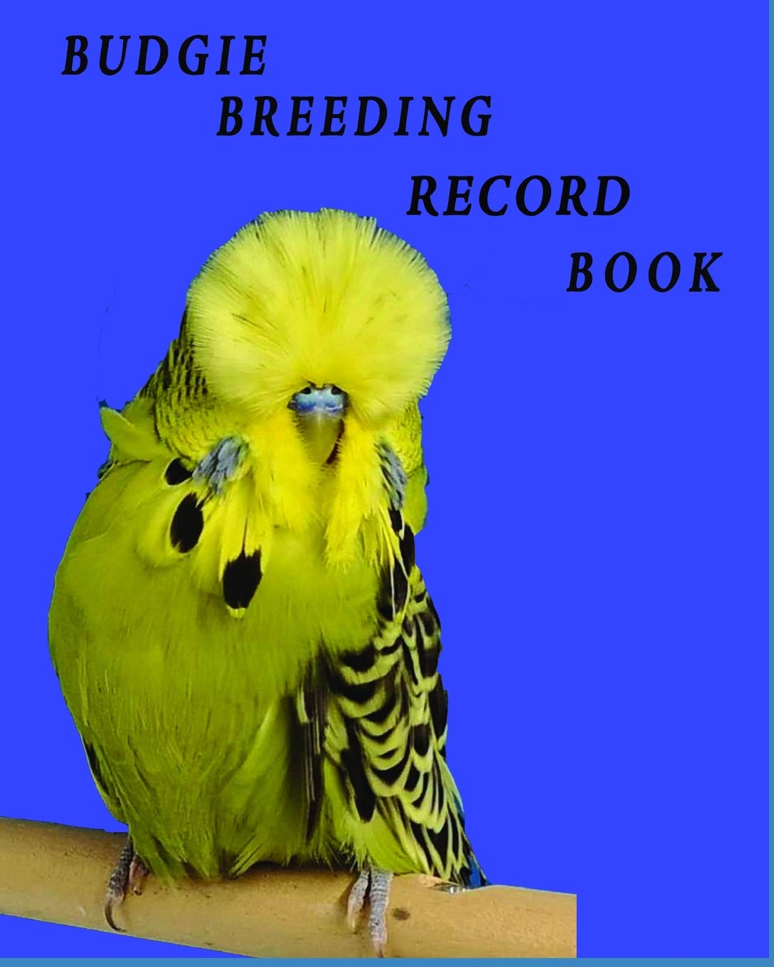 Budgie breeding record book: log book for budgies