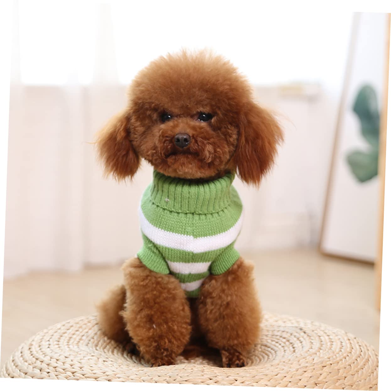 FRCOLOR Lot de 3 pulls de Noël pour chien - Pull pour chien - Petit manteau de Noël pour chien - Petit pull pour animaux de compagnie - Pull à serpillère pour chiens - Poméranie