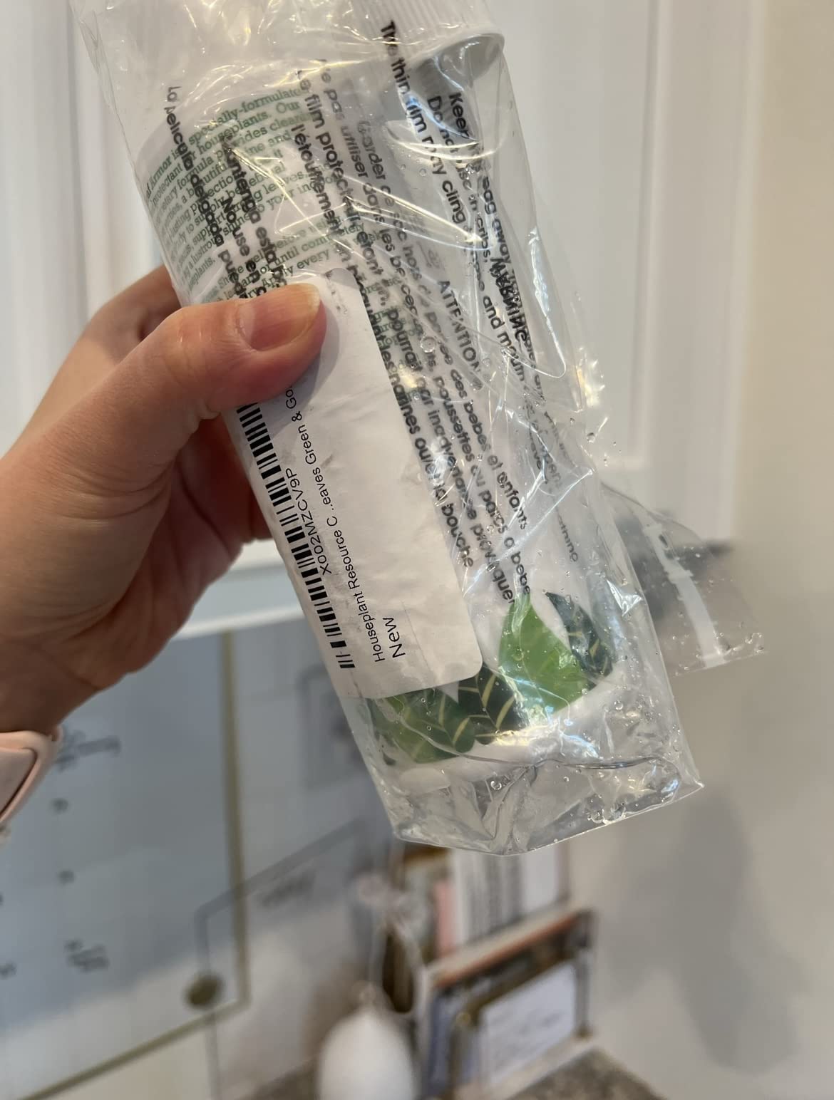 6/mo Finance HOUSEPLANT RESOURCE CENTER Leaf Armor Leaf Shine