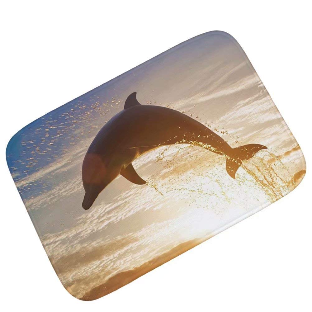 Sunset Dolphin Machine-Washable Door Mat Indoor/Outdoor Doormat Funny Flannel Carpet 36X24 Inch