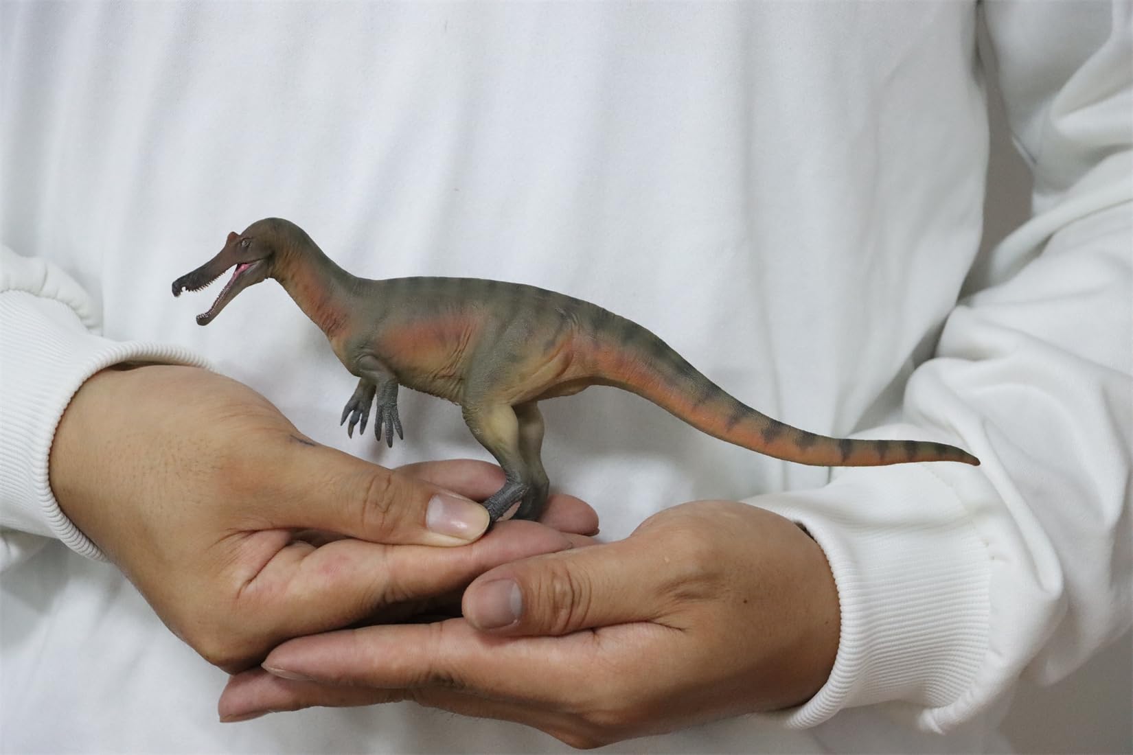 AMITD 84 Baryonyx Maxim Model SpDinosauridae Prehistoric Dinosaur Collector Animal Decor Gift