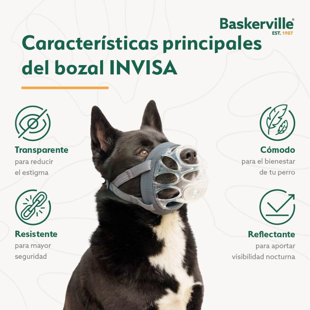 BOZAL BASKERVILLE INVISA - Diseño respetuoso patentado y seguro. Permite jadear y beber, ajustable y acolchado, adiestramiento para perros pequeños, impide morder y hurgar comida (Talla 1)