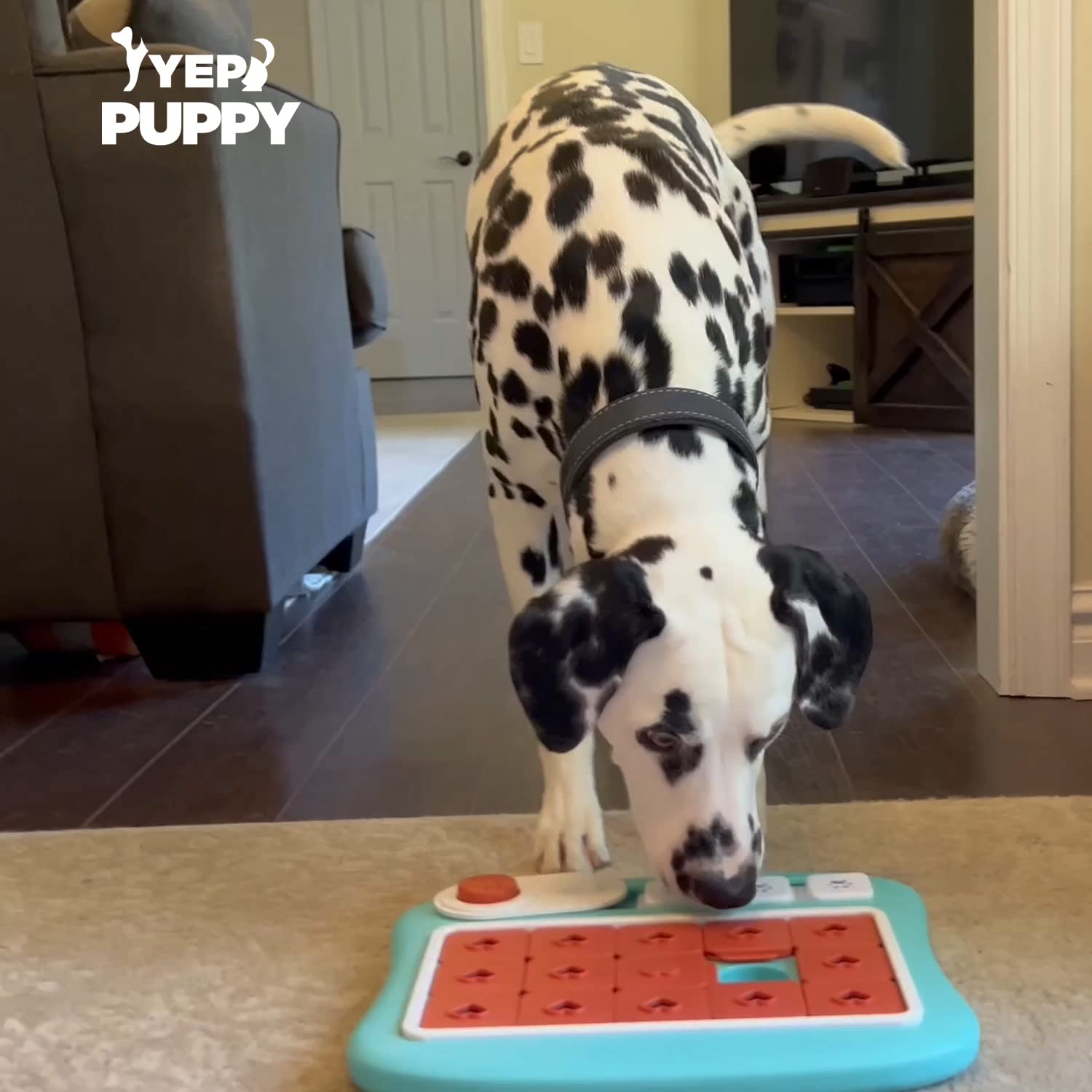 Amazon.co.jp: 難易度4段階 犬 猫用人気知育玩具 ペット給餌 早食い