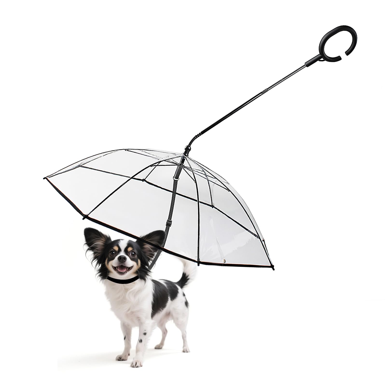 Parapluie pour petit chien transparent avec laisse réglable pour régler le problème du pelage mouillé