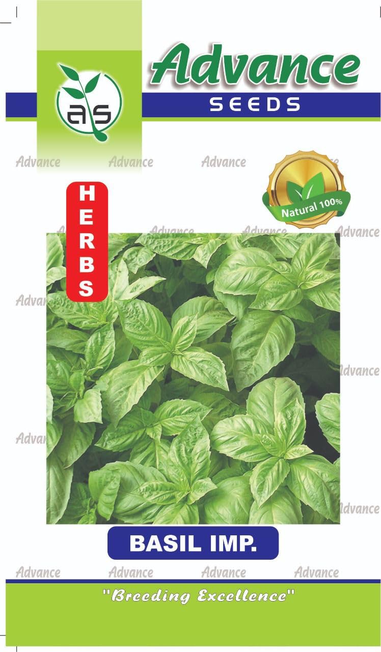 Ugrow Basil Italian Herb 50 Seeds Pack By Ugrow India (B09Y3DV6FS) Amazon Price History, Amazon Price Tracker