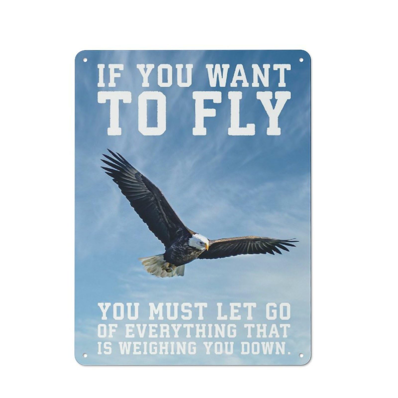 Junmoney Style-20 Country Metal Sign With Eagle Success Motivation Design 40X30cm, Barn Style Farmhouse Wall Decor For Farmhouse Kitchen, Pantry Or Dining Area