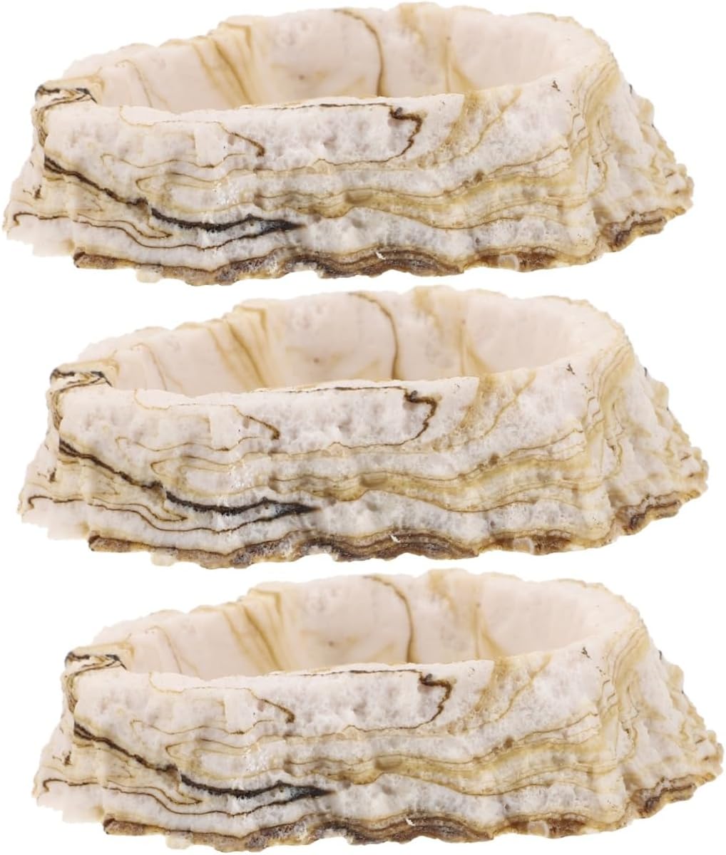 Reptile Water Bowl Reptile Feeding Bowl,3pcs Pet Bowl Reptile Food Bowl Decorative Reptile Dish Reptile Water Bowl Reptile Food Dish Crawler Pet Feeding Dish Plate