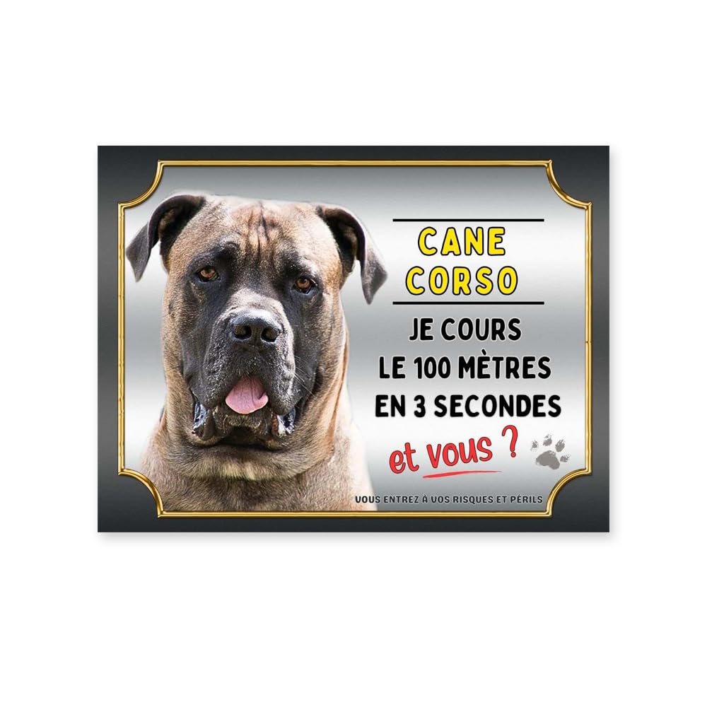 Plaque attention cane corso court le 100 mètres, panneau humour cane corso monte la garde, pancarte cane corso humour personnalisable, modèle 3