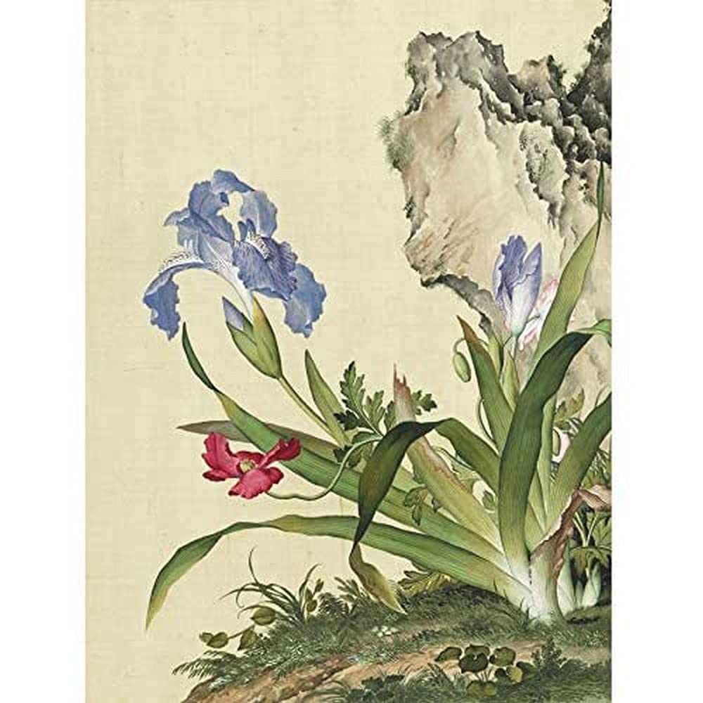 Castiglione Iris Flower Plant Painting Unframed Wall Art Print Poster Home Decor Premium