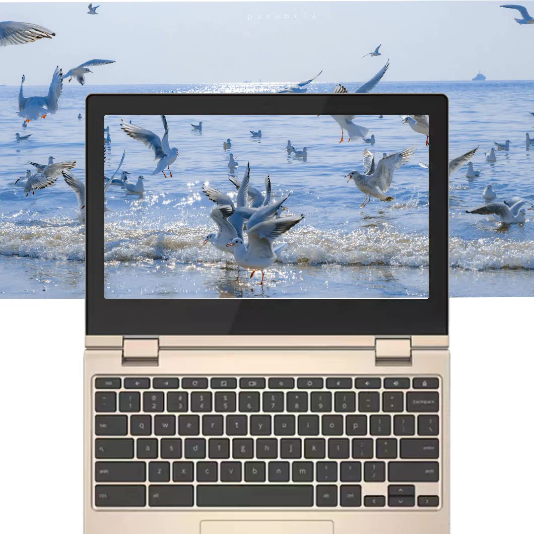 Amazon.com: Lenovo Chromebook Flex 3 11.6