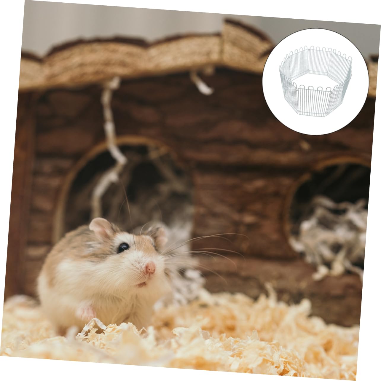 Recinto Modulare per Piccoli Animali Grande Spazio per L'attività per Criceti, Porcellini D'india e Roditori
