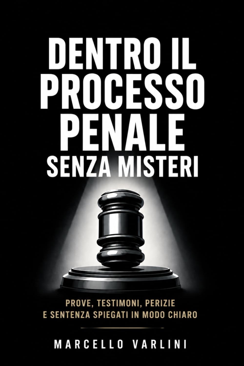 Dentro il processo penale senza misteri: Prove, testimoni, perizie e sentenza spiegati in modo chiaro