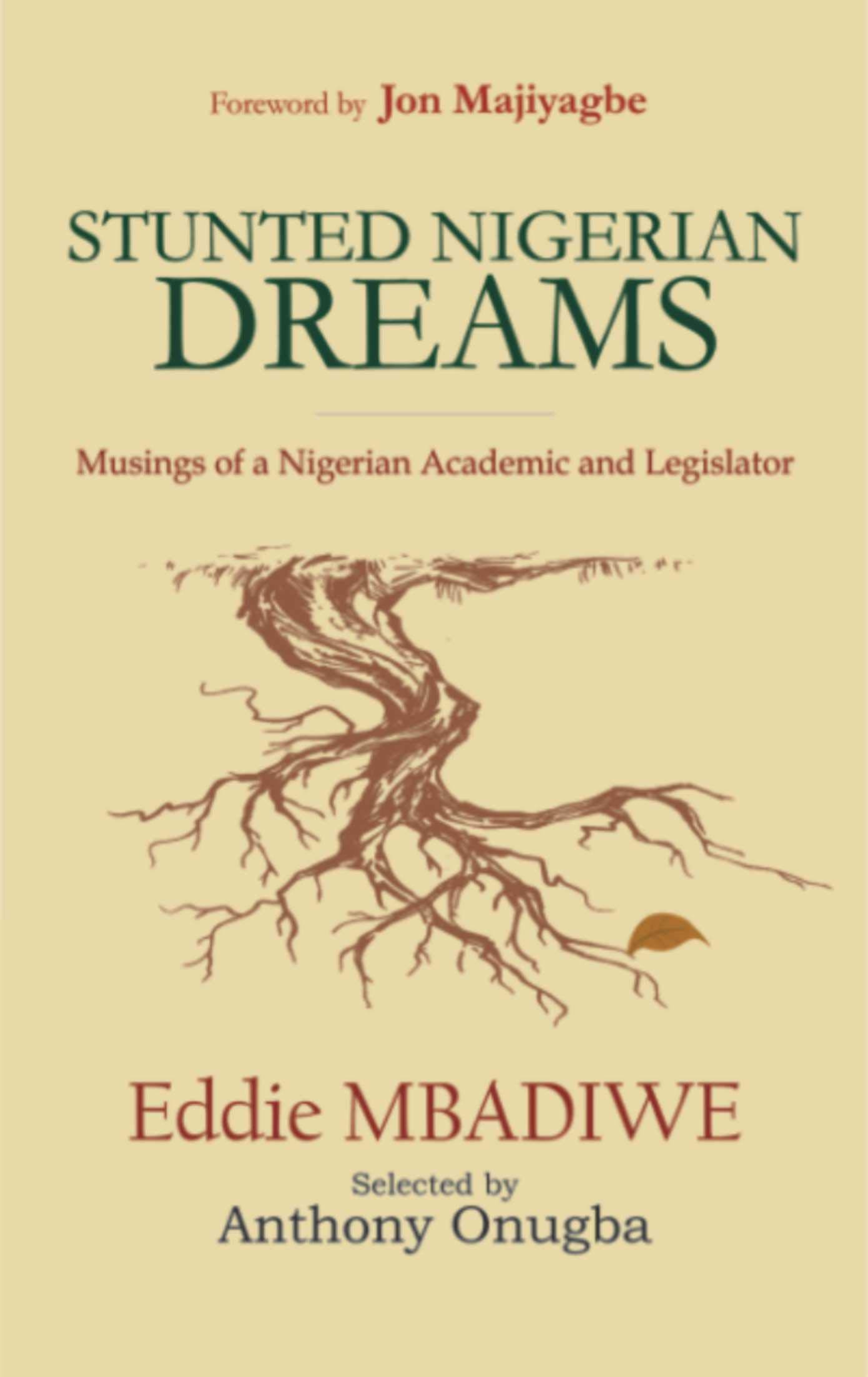 Stunted Nigerian Dreams: Musings of a Nigerian Academic and Legislator