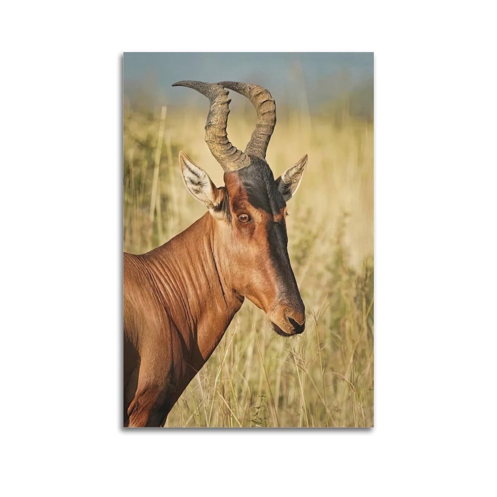 MJZLQN Animal Poster Hartebeest Poster Decorative Painting Canvas Wall Posters And Art Picture Print Modern Family Bedroom Decor Posters 20x30inch(50x75cm)