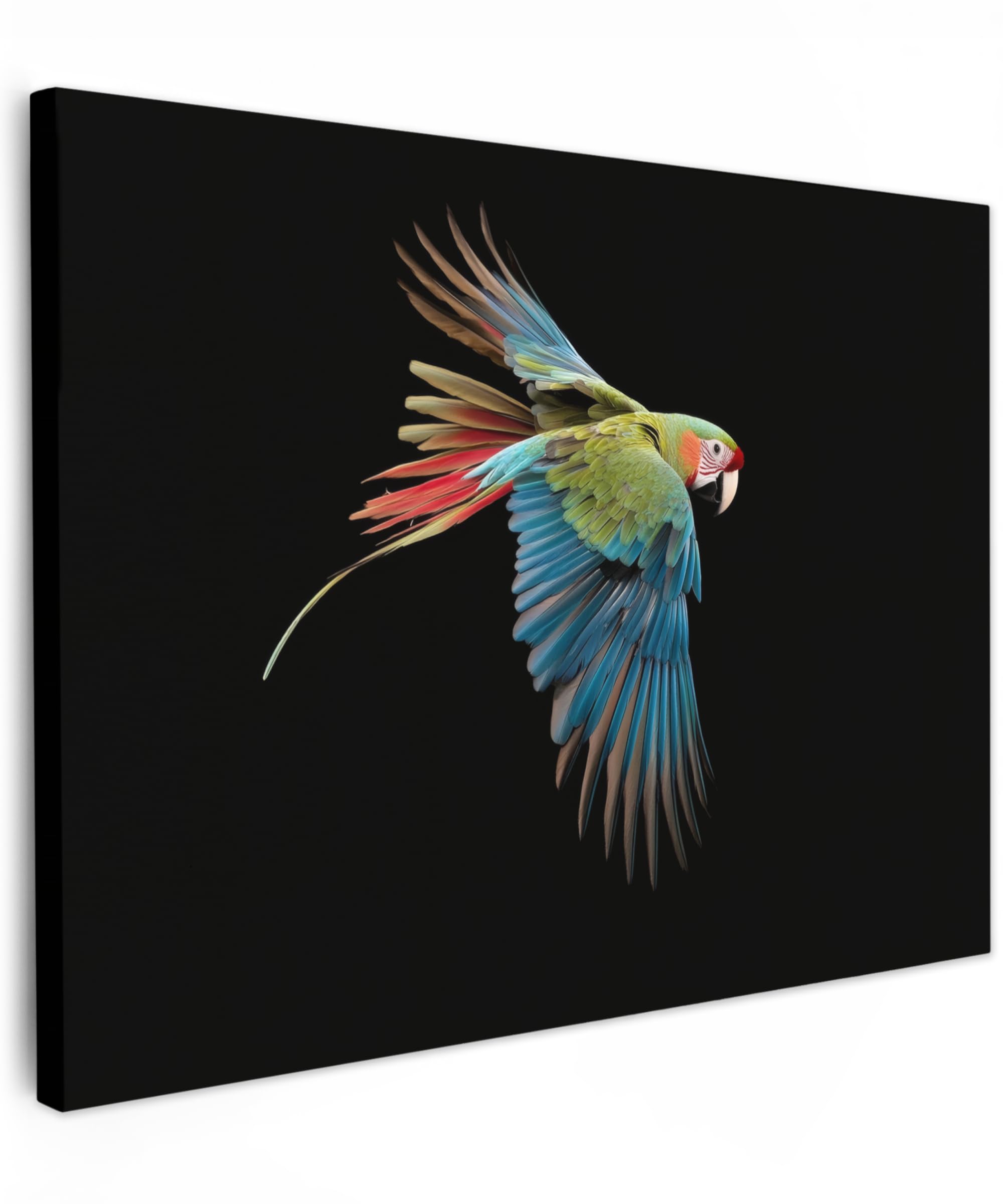 MuchoWow© Canvas Wall Art 31"x24" / 80x60 cm Decor Hanging Pictures for Living Room Canvus Artwork Deco Walls Parrot - Colorful - Wings - Graceful