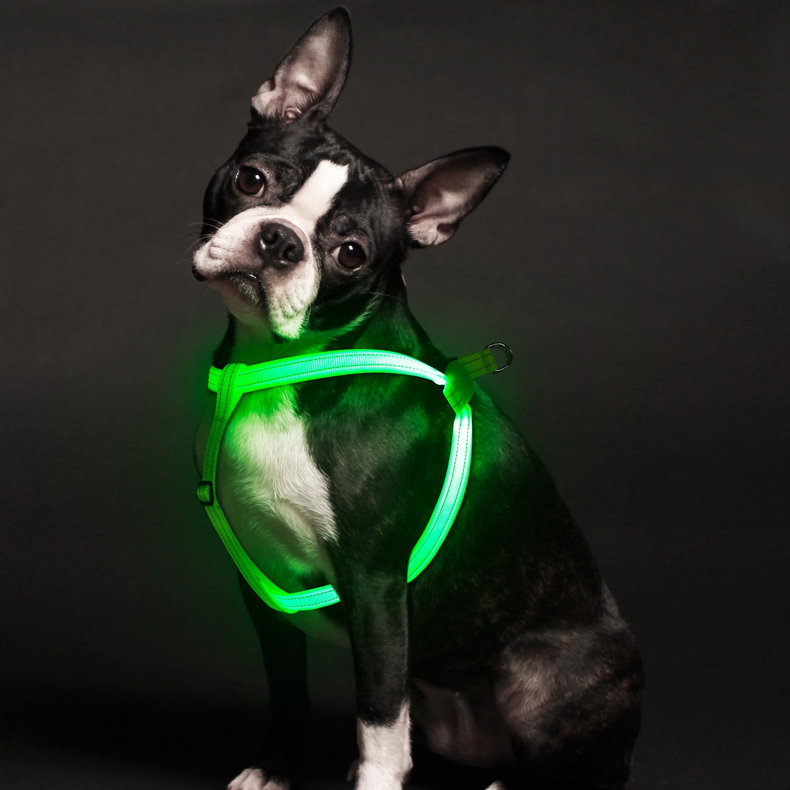 Harnais chien lumineux évite les dangers de la nuit taille L vert