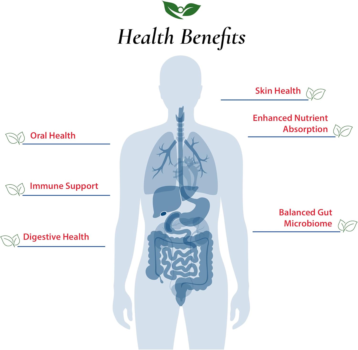Foods For Gut Lactobacillus Johnsonii Probiotic Powder 100 Billion cfu's | No Additives | Direct from Manufacturer | No Third-Party Storage | Immune Support | L. Johnsonii | 30 Grams (1.05 Oz) - Image 4