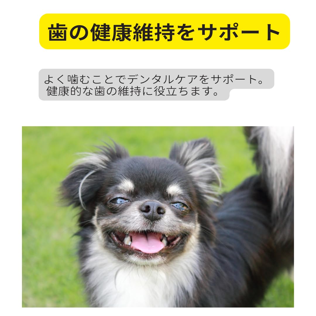 Amazon.co.jp: 生後8ヶ月以上 チワワ専用 3kg 小型犬用ドッグフード 成
