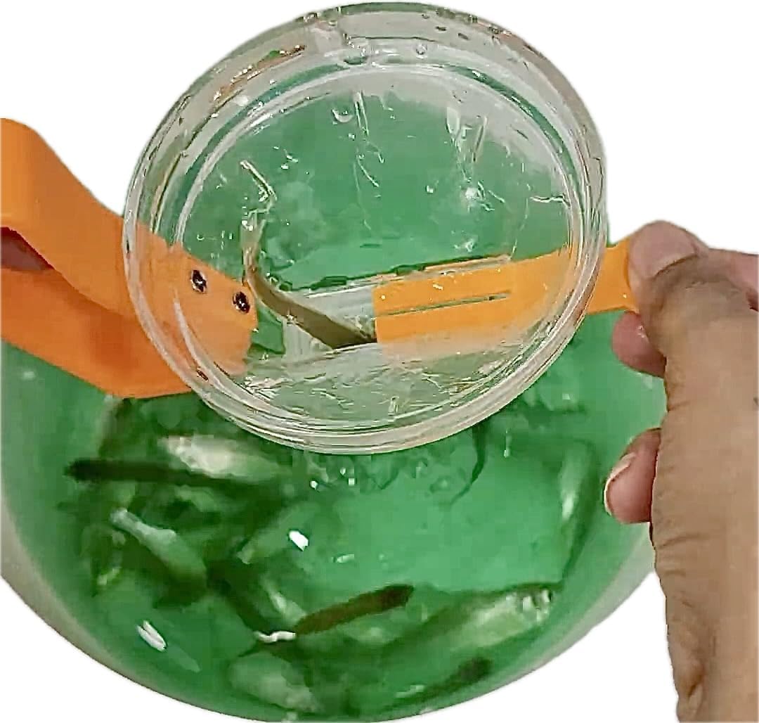 All in one Compact baiting Tool, Cricket Holder, Bait and Tackle Cup! Hook Bait Without Holding it, Great for Minnow, Crickets, Worms, ect..