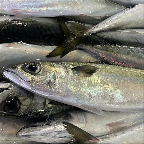  (Ⓚ)10kgy͘pcYzlꂽĂ}ⓀAϕtAĂȂǂɁyⓀցz