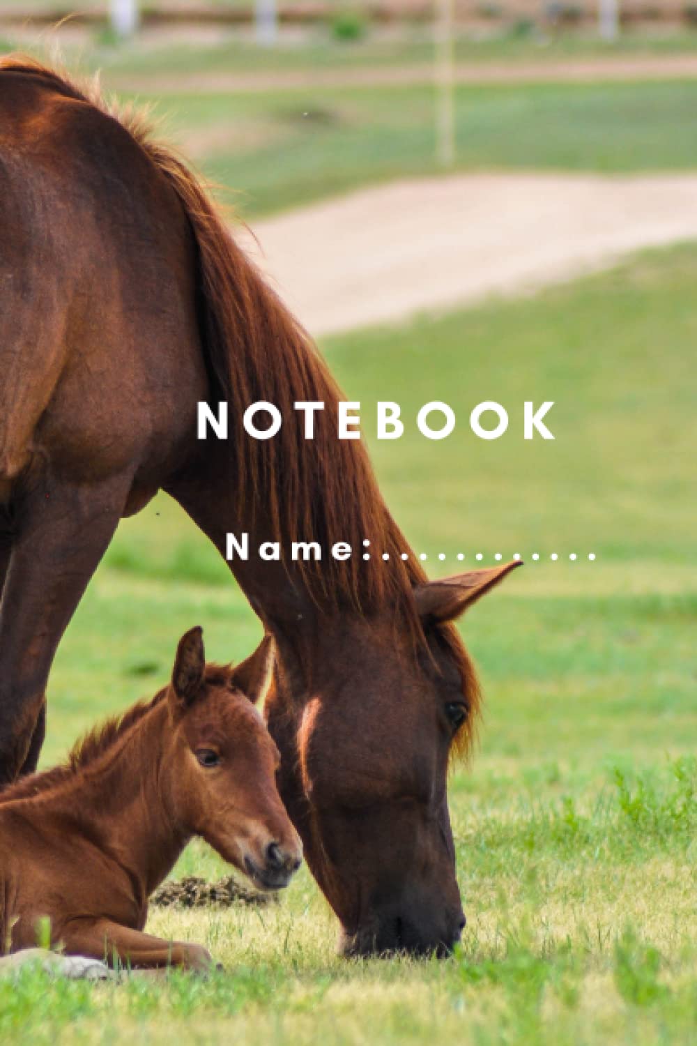 Notebook: Horse, 6x9", 120 pages with lines. (Horse Photo)