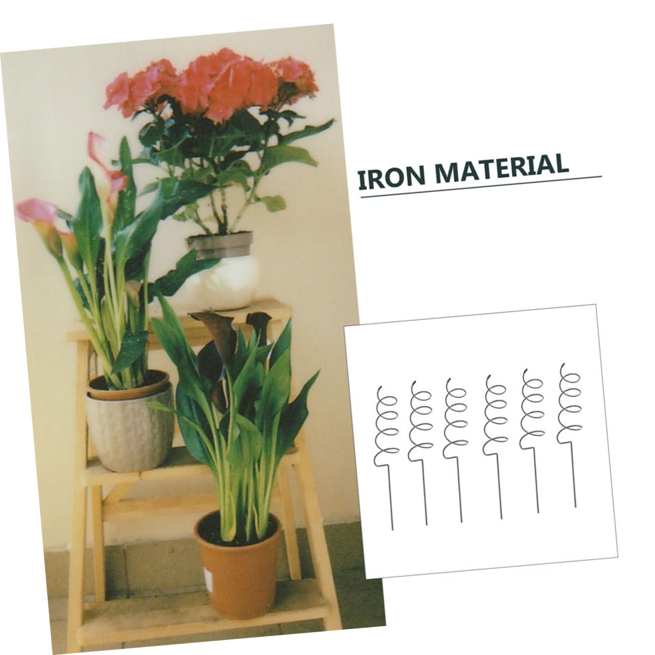 Lot de 8 Tuteurs Spiralés en Fer pour Plantes de Jardin