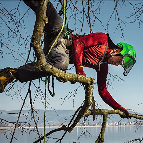Image of Protos Integral Arborist Helmet